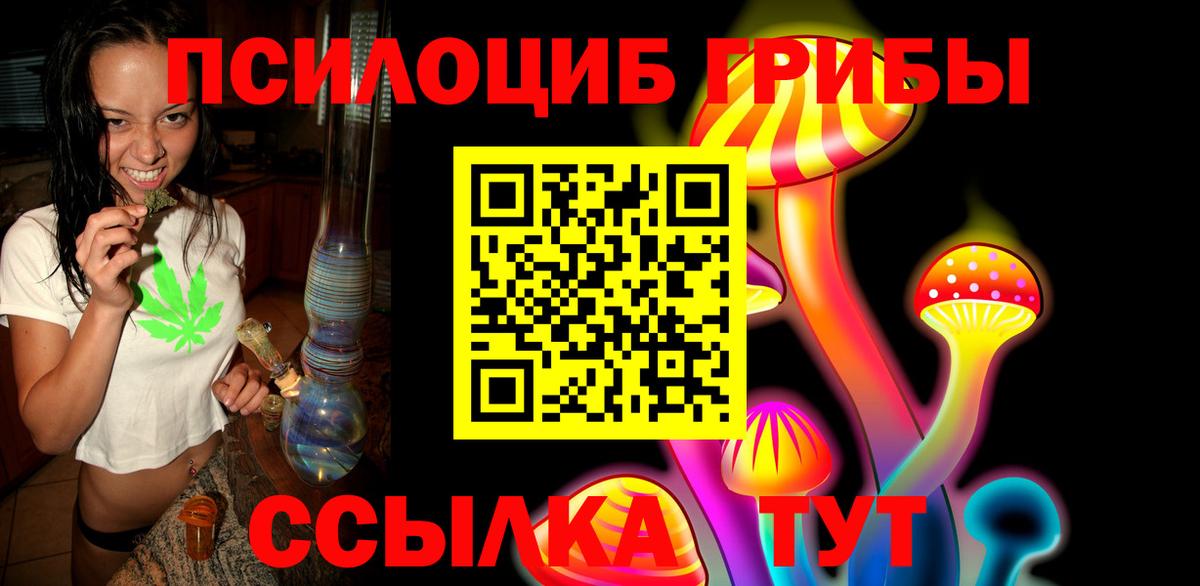 Десногорск  Псилоцибиновые грибы Psilocybine cubensis  Вход с VPN 